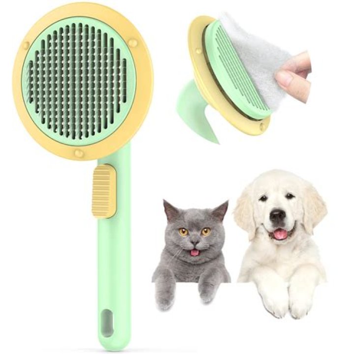 Are Indoor Cats Cleaner Than Dogs