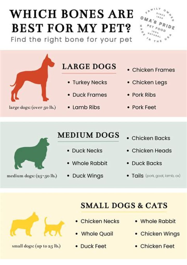 Question: Are Top Paw Boss Bones Safe For Dogs