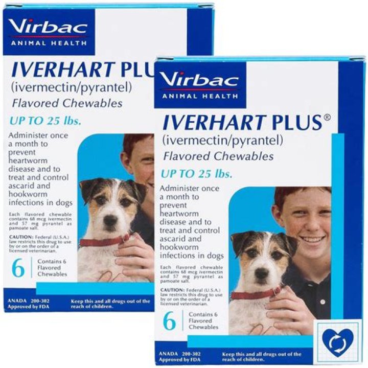 Question: Do Dogs Like Iverhart Plus