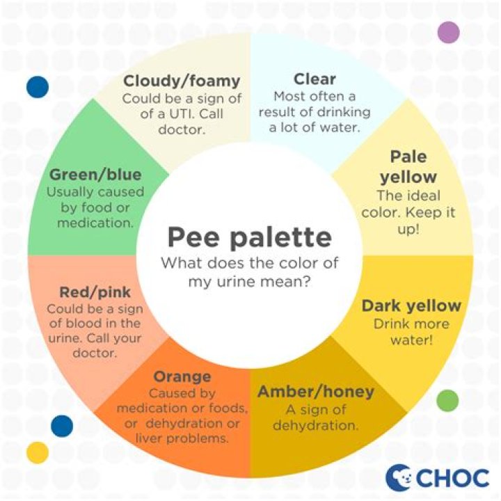 Question: How Do U Pee
