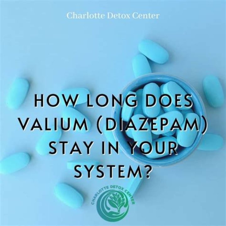 Question: How Long Does Dmaa Stay In Your System