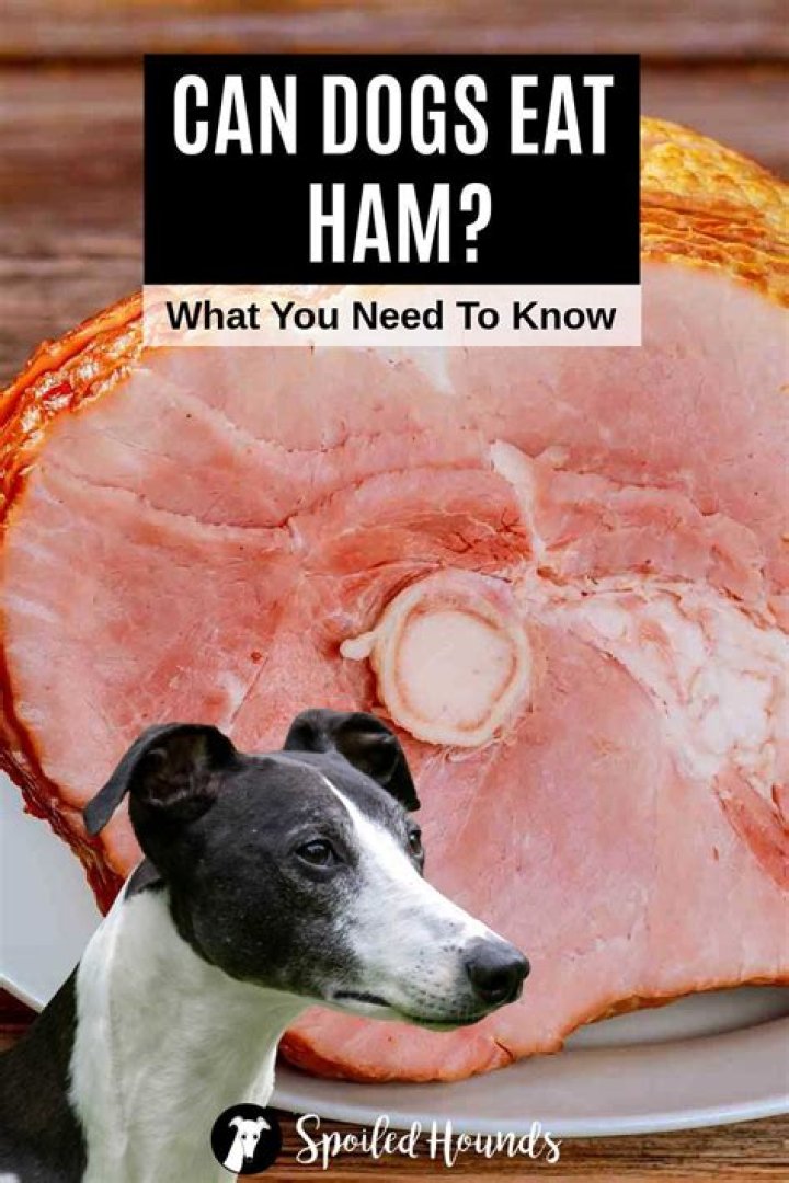 Quick Answer: Can You Give Dogs Ham Skin