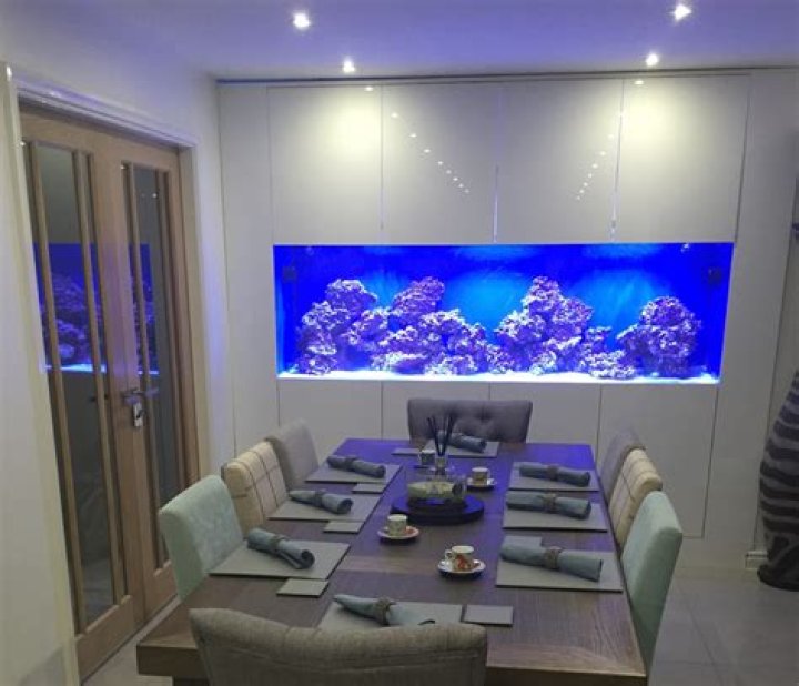 Quick Answer: How Much Are Full-Wall Fish Tanks