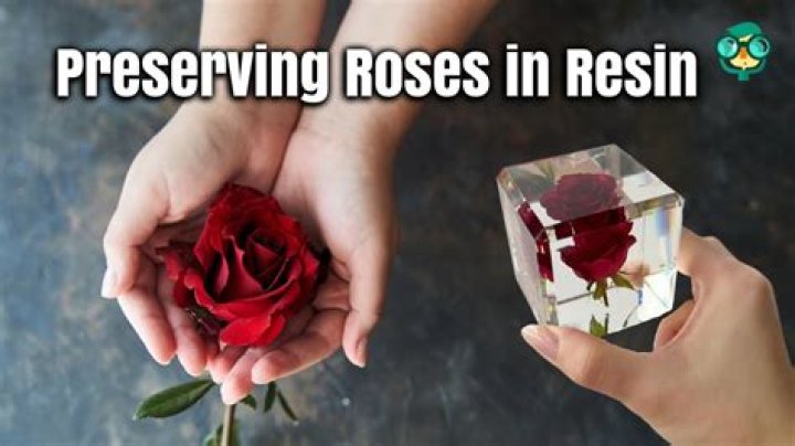 Quick Answer: How To Preserve Roses In Resin