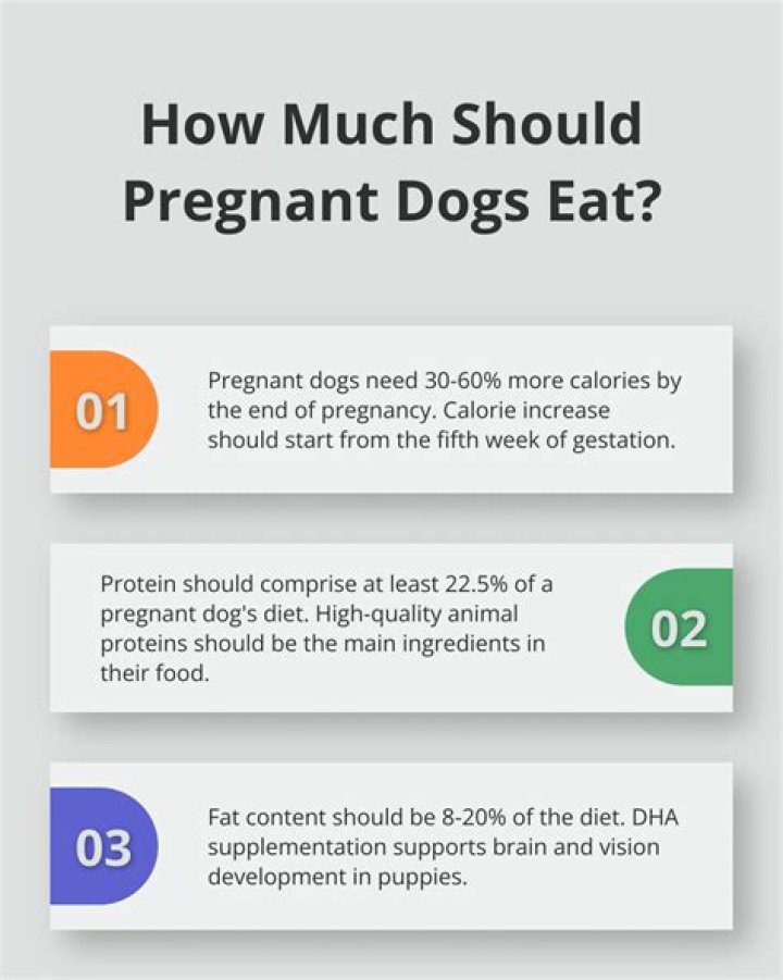 Quick Answer: Is Detick Plus Safe For Pregnant Dogs