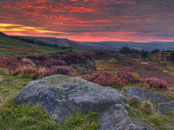 What Are Moors In England
